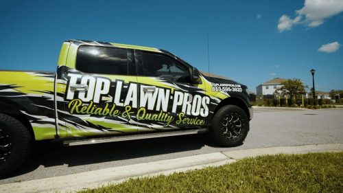 Lawn Services Brandon FL 292