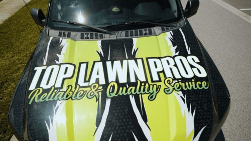 Lawn Services Brandon FL 295