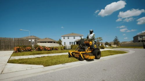 Lawn Services Brandon FL 298