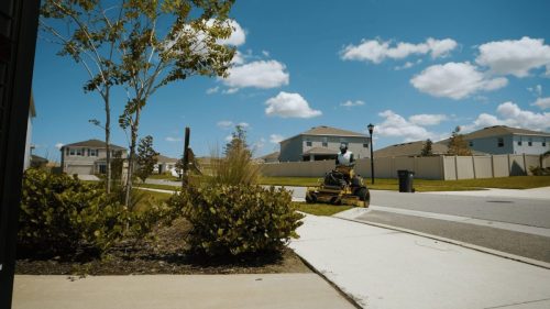 Lawn Services Brandon FL 306