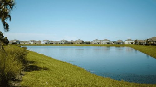 Lawn Services Brandon FL 307
