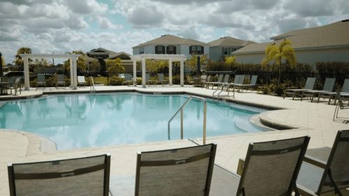 Lawn Services Brandon FL 309