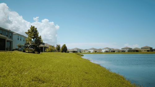 Lawn Services Brandon FL 310