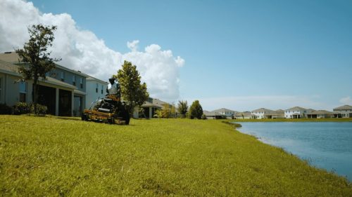 Lawn Services Brandon FL 311