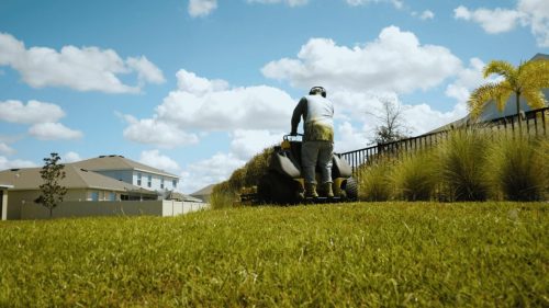 Lawn Services Brandon FL 312