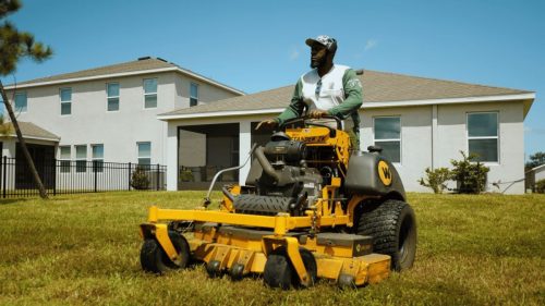 Lawn Services Brandon FL 314