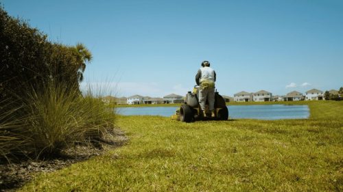 Lawn Services Brandon FL 315