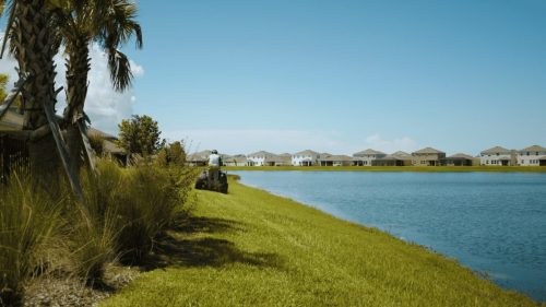 Lawn Services Brandon FL 316