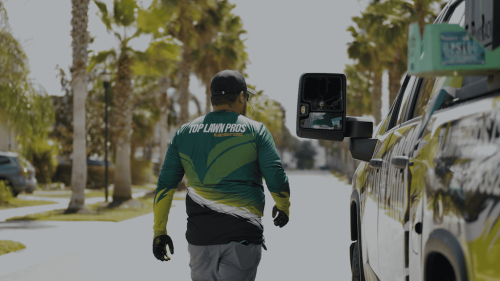 Lawn Services Brandon FL 32
