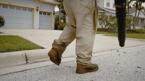 Lawn Services Brandon FL 327