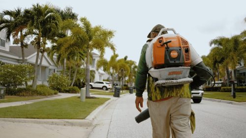 Lawn Services Brandon FL 328