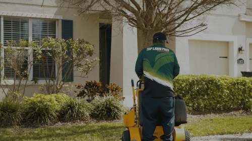 Lawn Services Brandon FL 33
