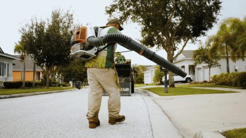 Lawn Services Brandon FL 331