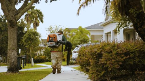 Lawn Services Brandon FL 333