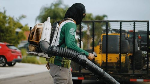 Lawn Services Brandon FL 334
