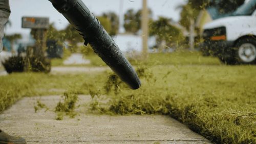 Lawn Services Brandon FL 335