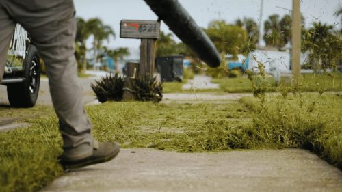 Lawn Services Brandon FL 336