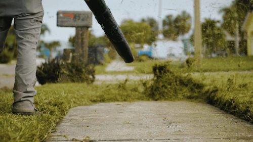 Lawn Services Brandon FL 337