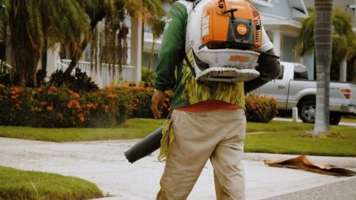 Lawn Services Brandon FL 339