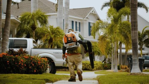 Lawn Services Brandon FL 341