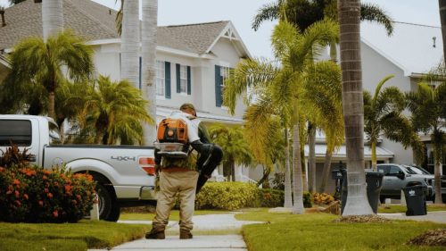 Lawn Services Brandon FL 342