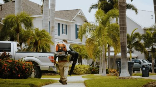 Lawn Services Brandon FL 343