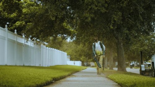 Lawn Services Brandon FL 346