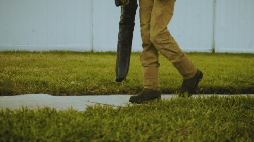 Lawn Services Brandon FL 347