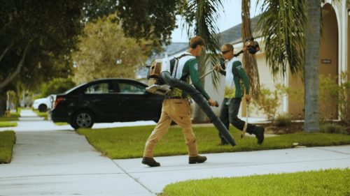 Lawn Services Brandon FL 348