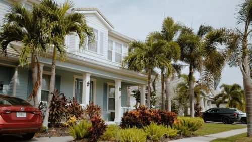 Lawn Services Brandon FL 351