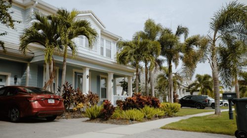 Lawn Services Brandon FL 354