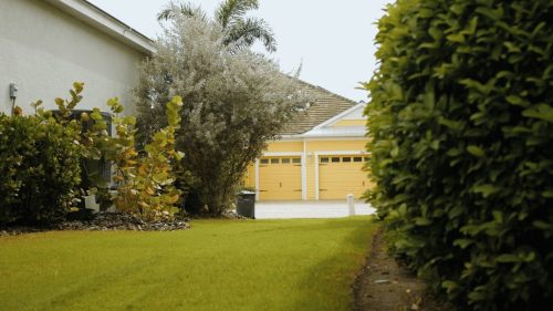 Lawn Services Brandon FL 357