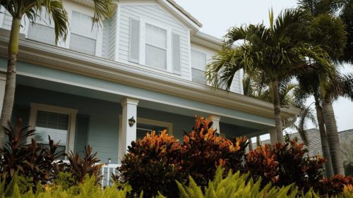 Lawn Services Brandon FL 359