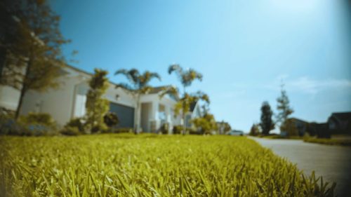 Lawn Services Brandon FL 362