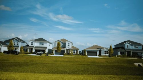 Lawn Services Brandon FL 364