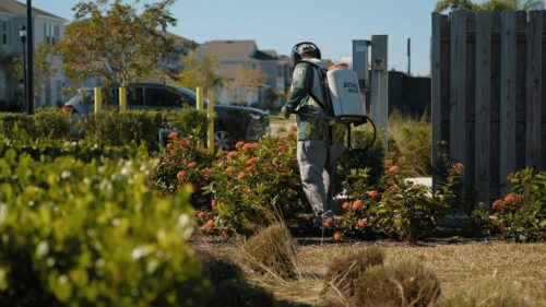 Lawn Services Brandon FL 368