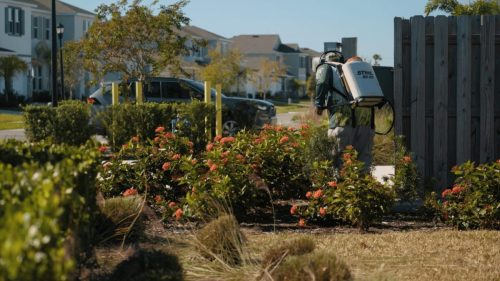Lawn Services Brandon FL 369