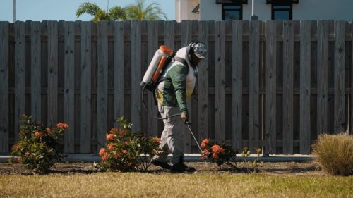 Lawn Services Brandon FL 370