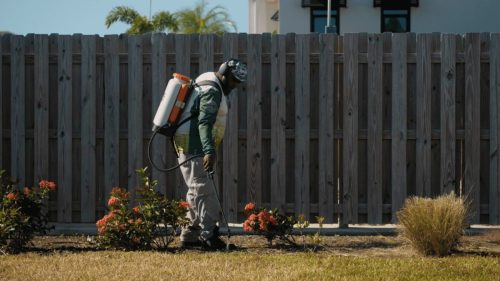 Lawn Services Brandon FL 371