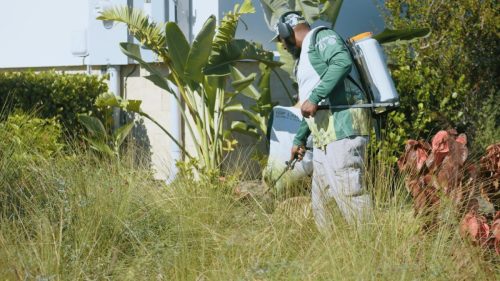Lawn Services Brandon FL 373