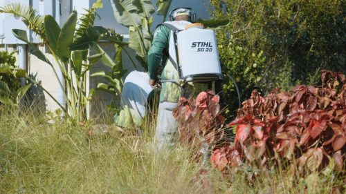 Lawn Services Brandon FL 374