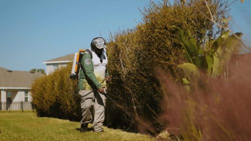 Lawn Services Brandon FL 378