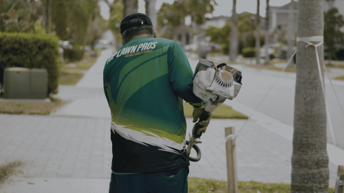 Lawn Services Brandon FL 38
