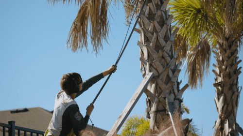 Lawn Services Brandon FL 380