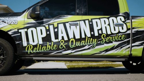 Lawn Services Brandon FL 382