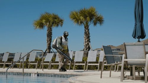 Lawn Services Brandon FL 389