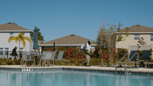Lawn Services Brandon FL 391