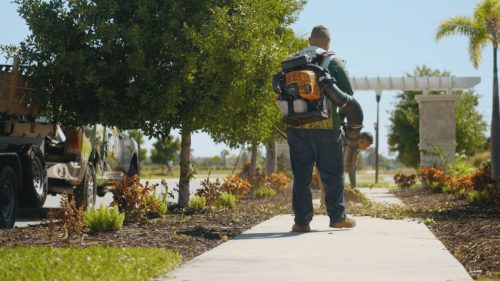Lawn Services Brandon FL 393
