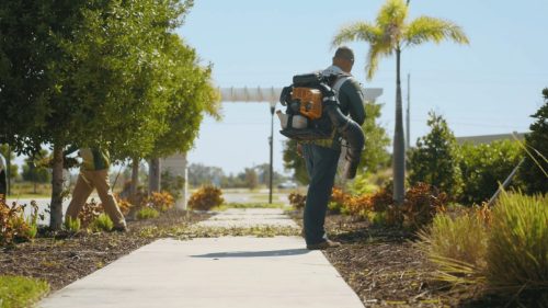 Lawn Services Brandon FL 394