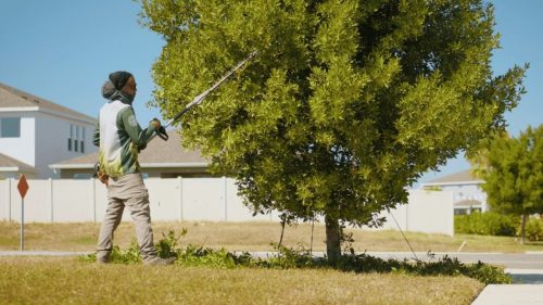Lawn Services Brandon FL 397